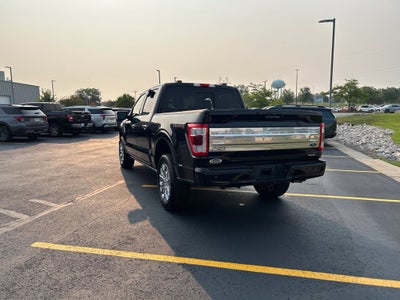 2023 Ford F-150 Platinum