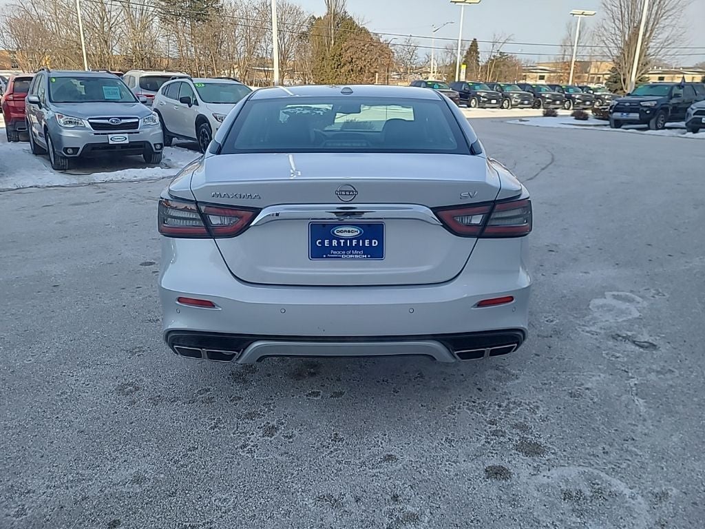 2023 Nissan Maxima SV